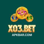 X03 Bet Game