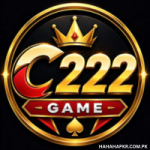 C 222 Game