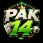 Pak14 Game