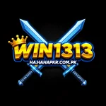 WIN1313 Game